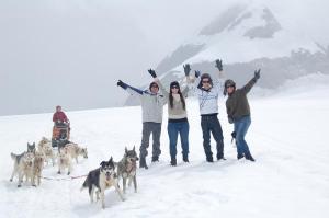 Mendenhall Glacier Dogsledding